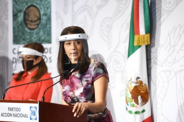 DIPUTADA JOSEFINA SALAZAR 25JULIO2020