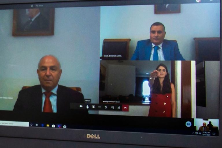 EXÁMEN PROFESIONAL VIRTUAL 21JULIO2020