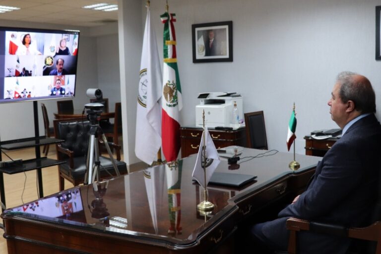 FISCALÍA SESIÓN VIRTUAL 31JULIO2020