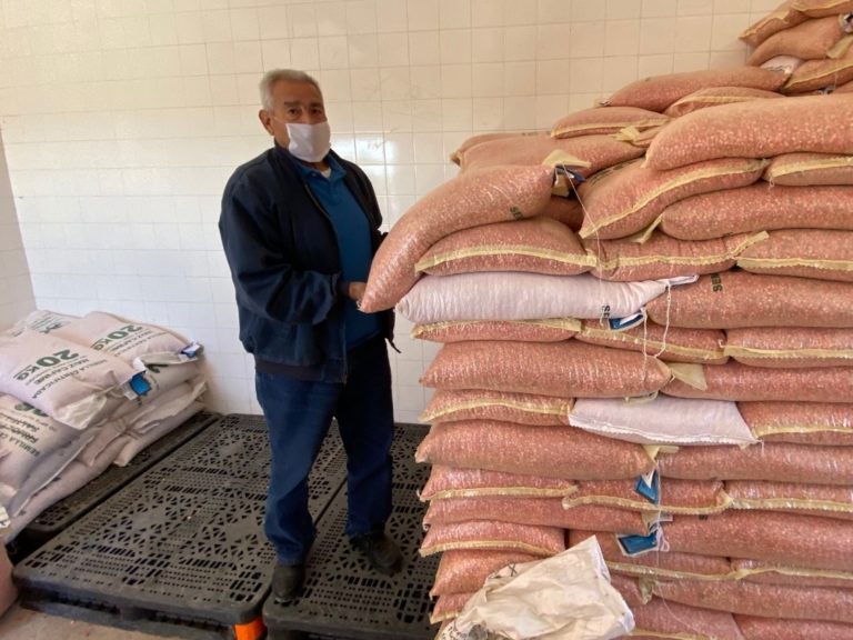 SEDARH SEMILLA 17JULIO2020