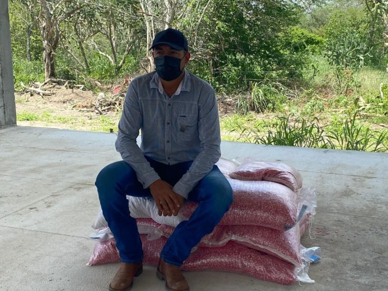 SEDARH SEMILLAS 04JULIO2020