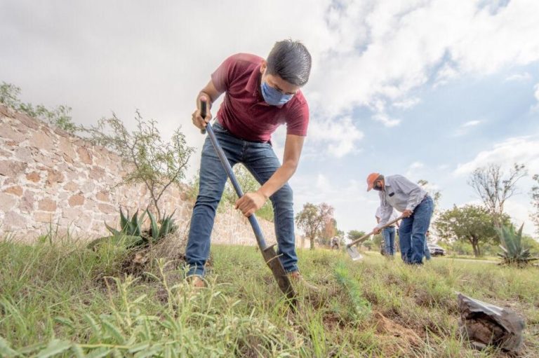 SEGAM DIA DEL ÁRBOL 09JULIO2020
