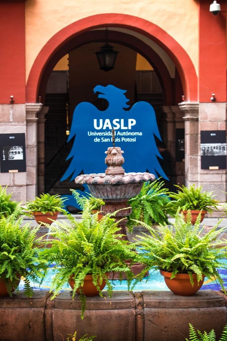 ACTIVIDADES UASLP 09AGOSTO2020