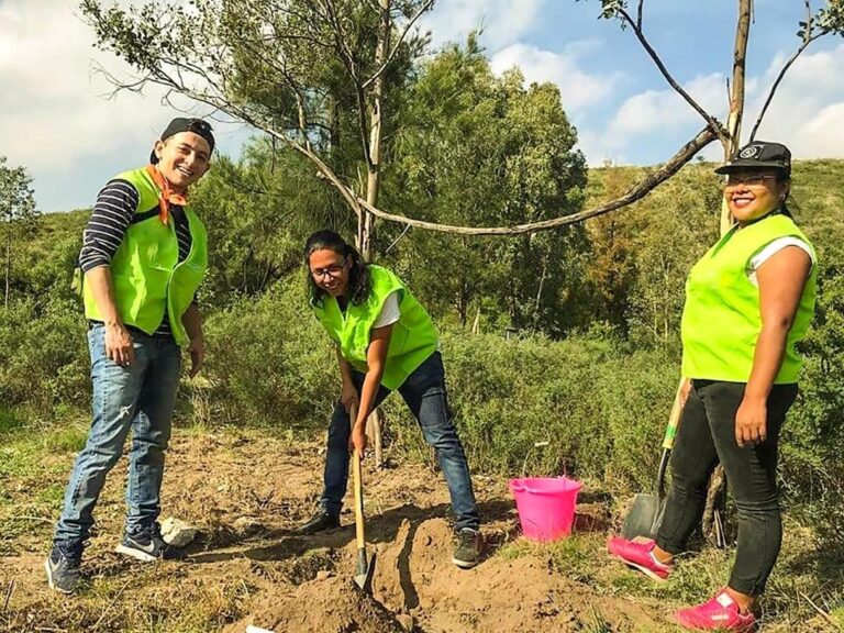 CARRERA ING. FORESTAL 04AGOSTO2020