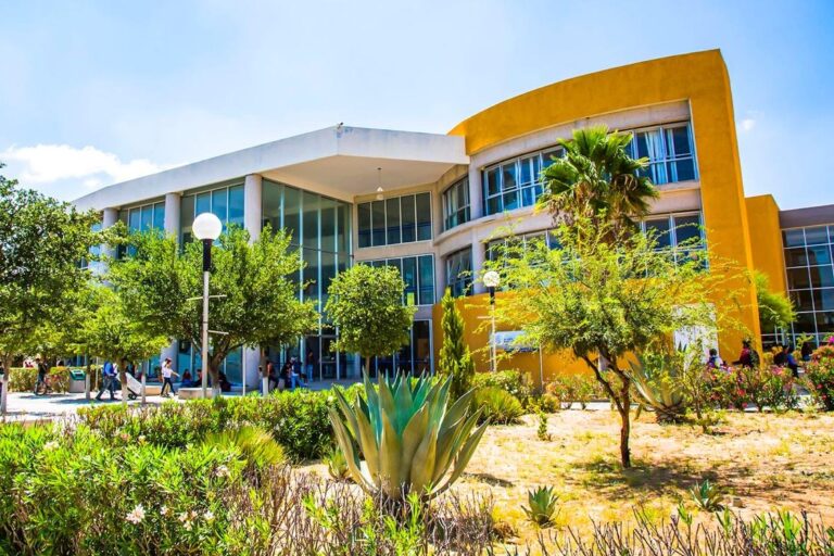 COARA UASLP 12AGOSTO2020