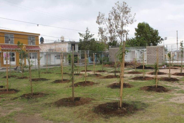 DIF ESTATAL HUERTO 11AGOSTO2020