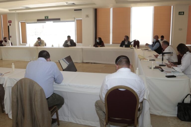 JMCL REUNIÓN INSABI 13AGOSTO2020