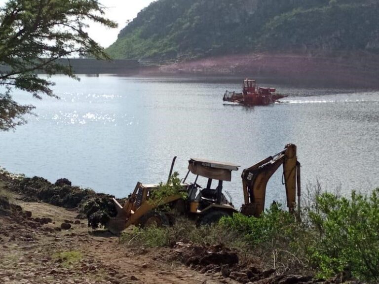 LIMPIEZA LIRIO 14AGOSTO2020