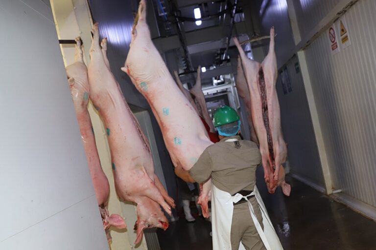 RASTROMUNICIPAL 01AGOSTO2020