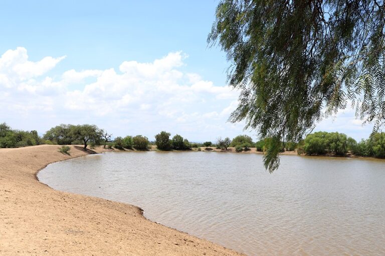 CONSTRUCCIÓN DE BORDOS 05SEPTIÉMBRE2020