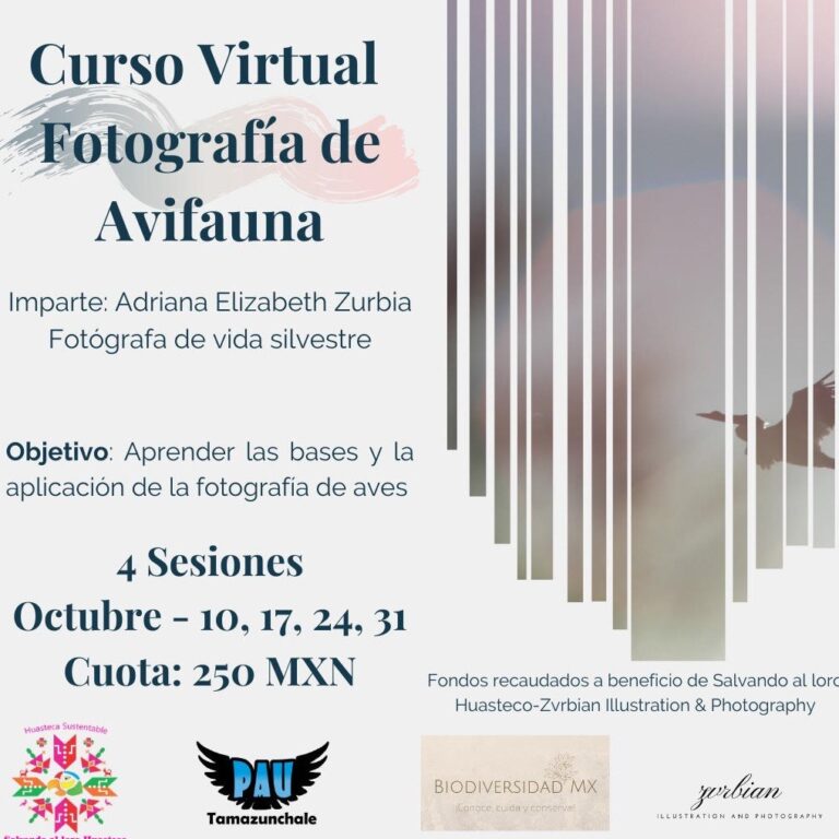 COPOCYT AVES 15SEPT2020