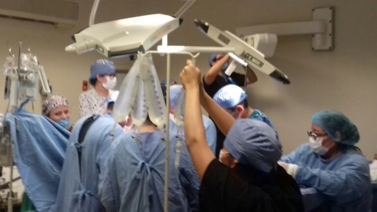 DONACIÓN DE ÓRGANOS.