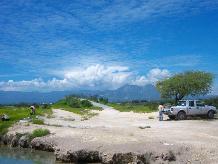 IPICYT ESTUDIOS 02SEPTIEMBRE2020