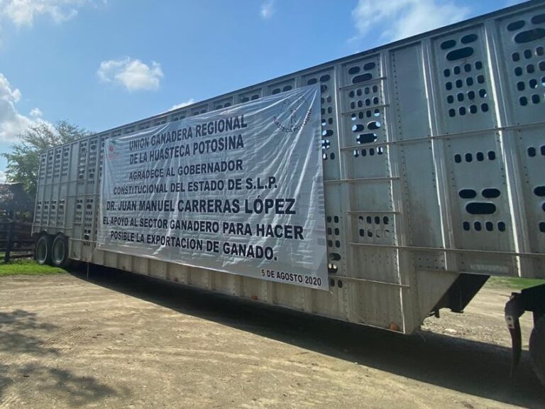 PRÓSPERO EXP. GANADO 28SEPT2020