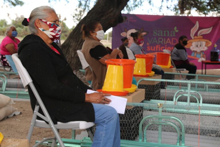 DIF GRANJAS 23OCT2020