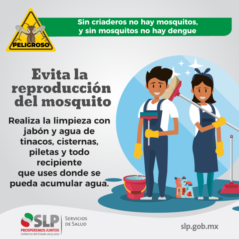 SALUD CAMPAÑA VS DENGUE 13AGOSTO2020