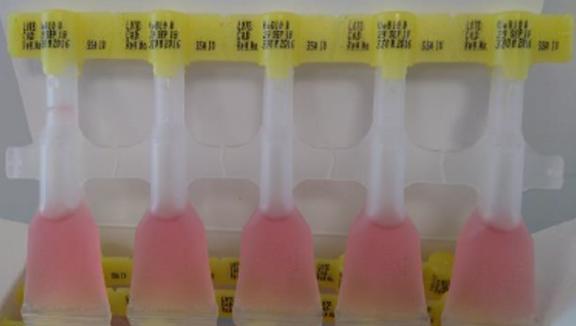 SALUD CONMEMORA 24OCT2020