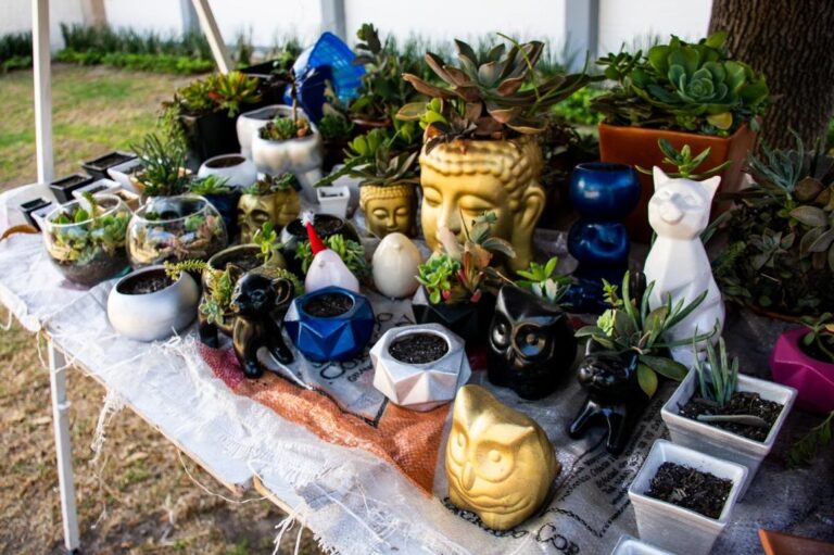 CARMEN OLVERA PAIS. MARAV. 10NOV2020