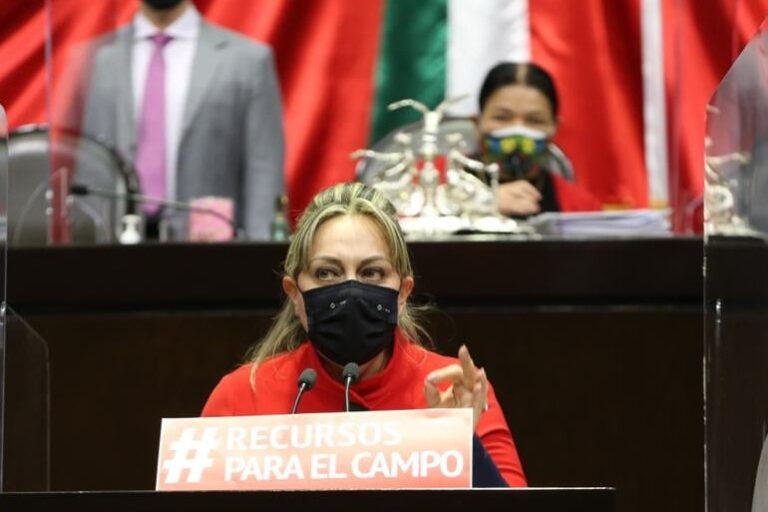 DIPUTADA SARA ROCHA 11NOV2020