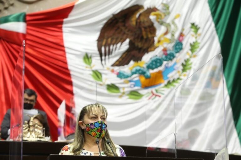 DIPUTADA SARA ROCHA 22NOV2020