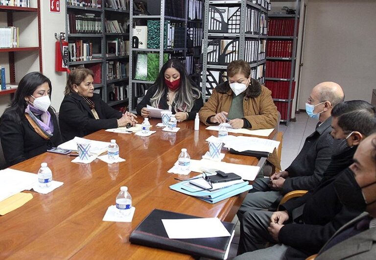 COMISIÓN DE TRABAJO 13DIC2020