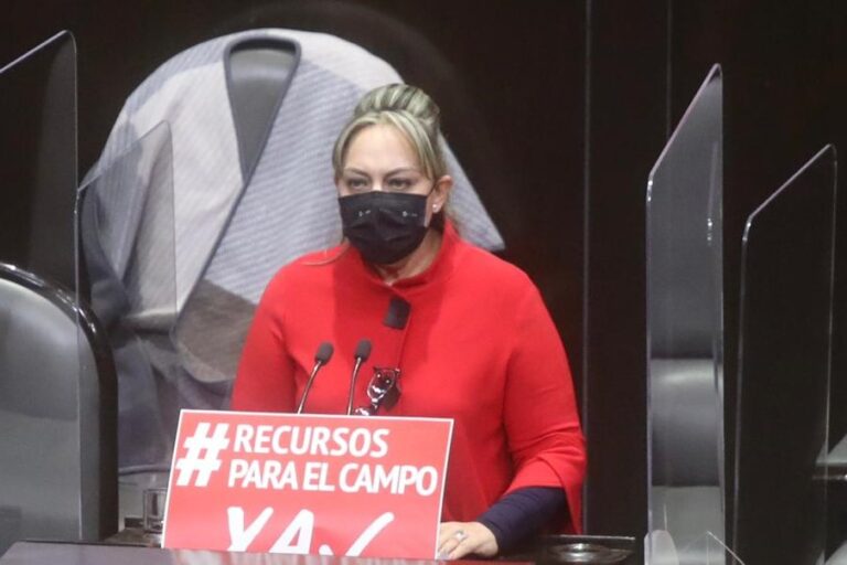 DIPUTADA SARA ROCHA 22DIC2020