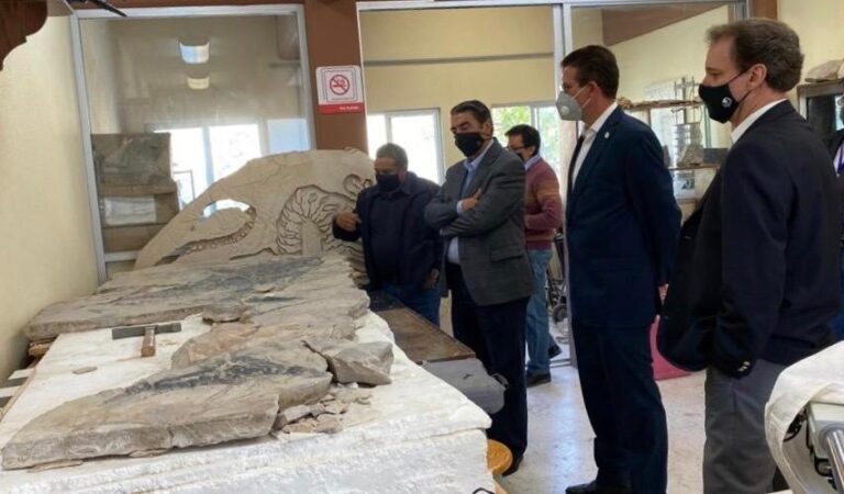 LAB. PALEONT. 01DIC2020