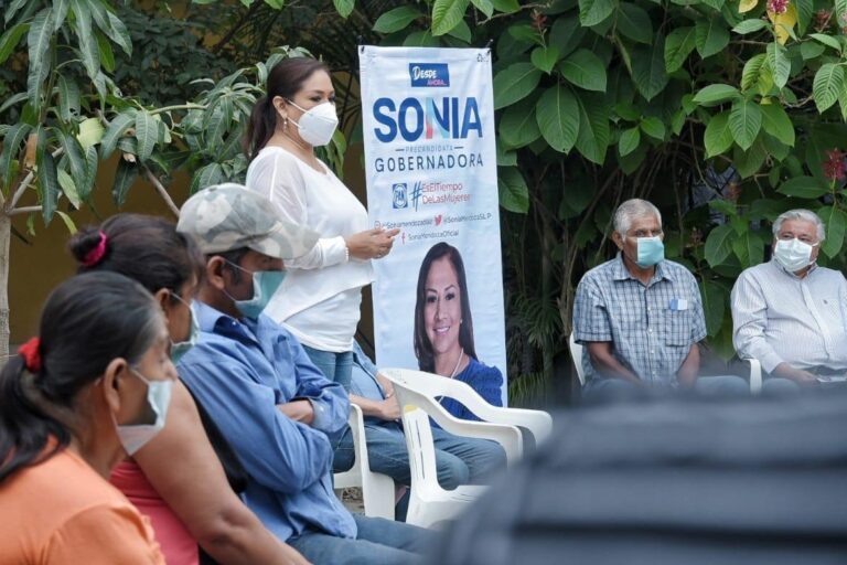 PAN PRECAMP SONIA 17DIC2020