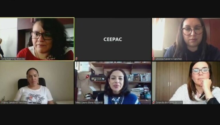 CEEPAC ACTIVIDADES 29ENERO2021