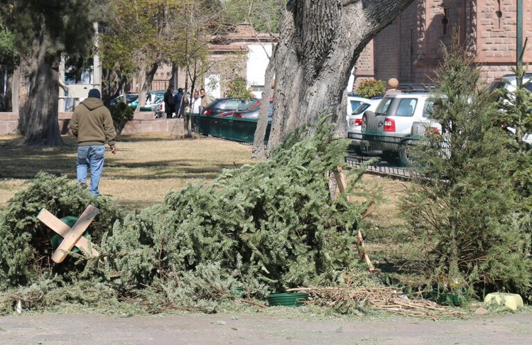 CENTROS DE ACOPIO PINOS 04ENERO2021