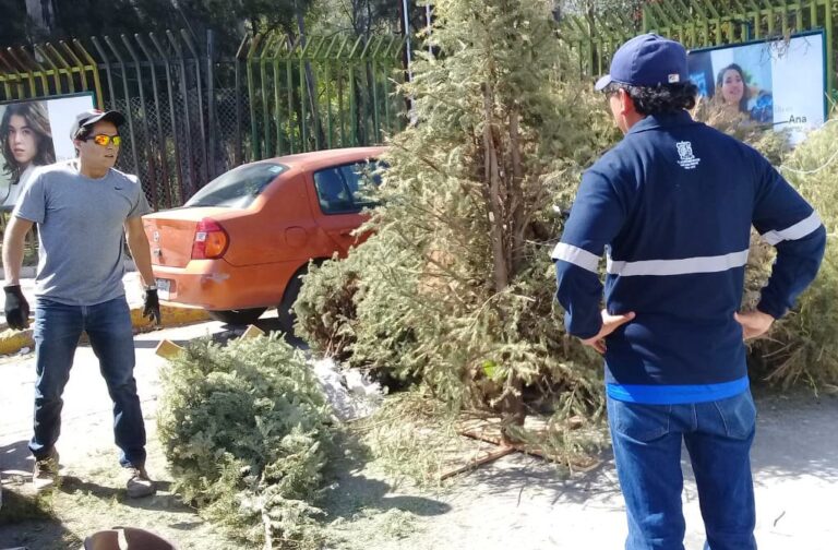 CENTROS DE ACOPIO PINOS 09ENERO2021