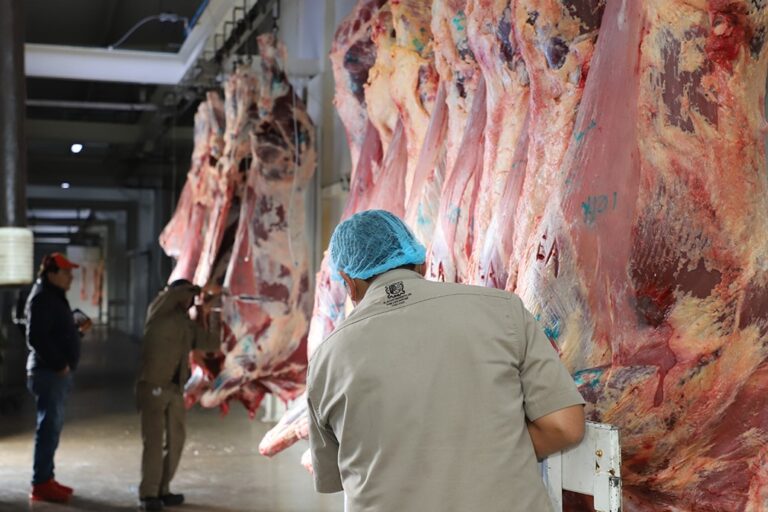 CERTIFIC. RASTRO TIF 07ENERO2021