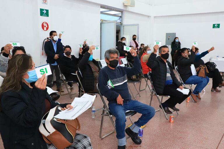 CONSEJO DESARR. SOCIAL 29ENERO2021