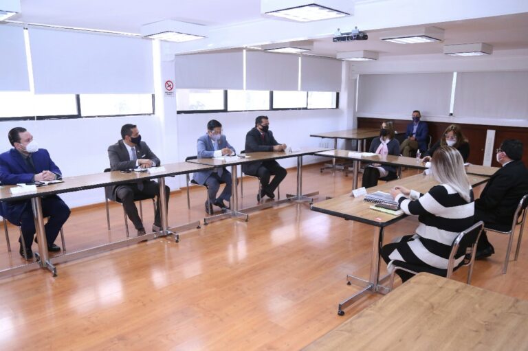 DIF REUNIÓN 29ENERO2021