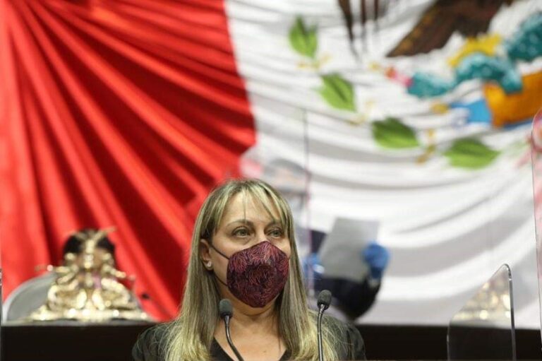 DIPUTADA SARA ROCHA 29ENERO2021