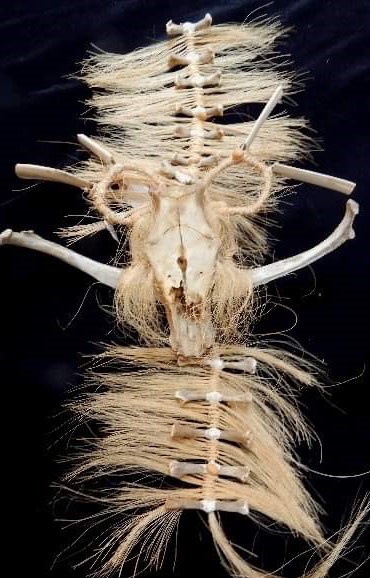 SECULT MÁSCARAS 07FEBRERO2021