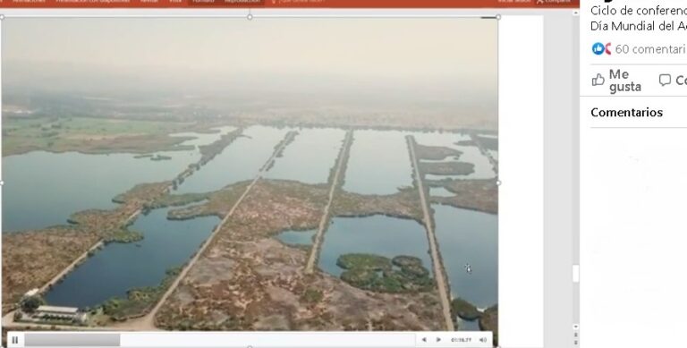 CEA CICLO 23MARZO2021