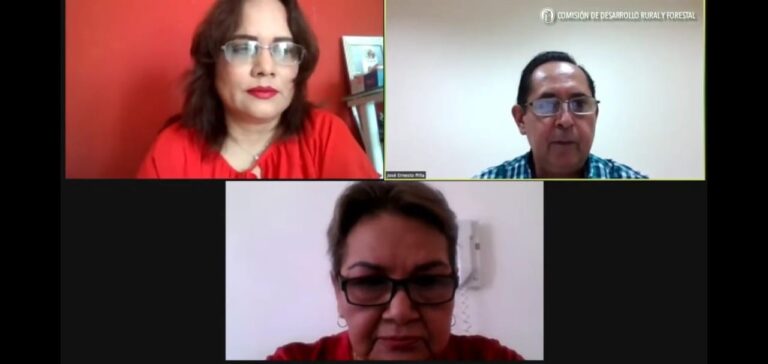 COMISIÓN DES. RURAL 23MARZO2021