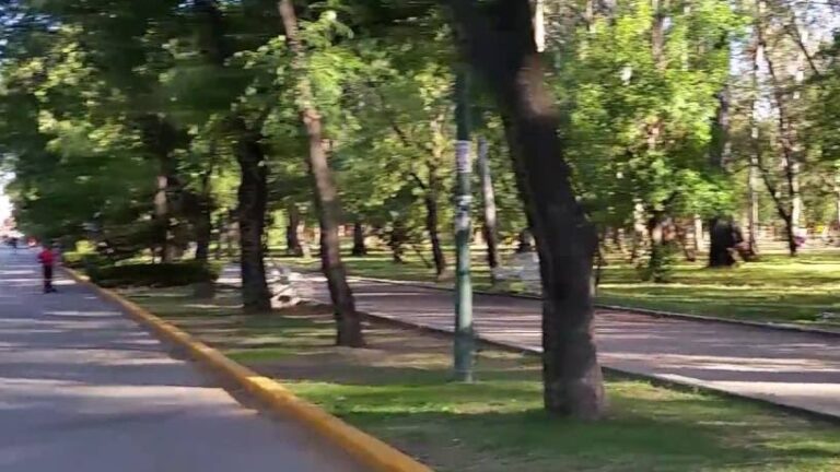 CONTROL FAUNA NOC. 20MARZO2021