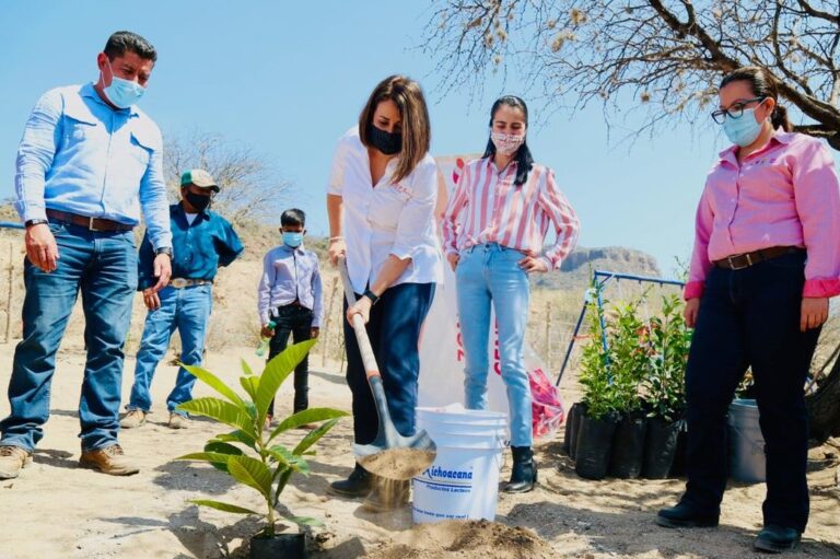 DIF PROYECTO COMUNITARIO 03MARZO2021