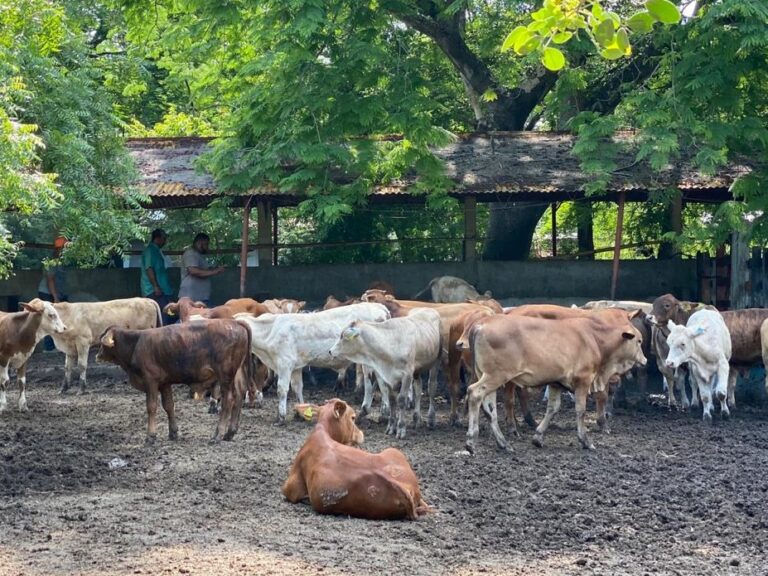 SEDARH CERTIFICACIÓN 18MARZO2021