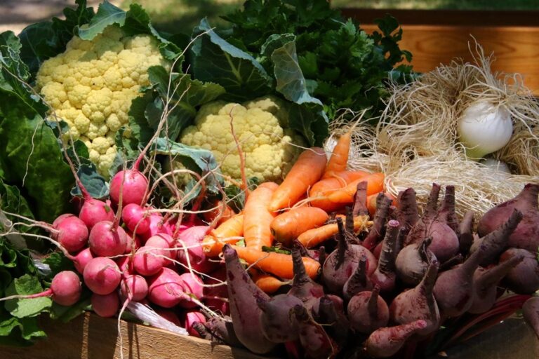 DIF EST. HUERTOS 06ABRIL2021