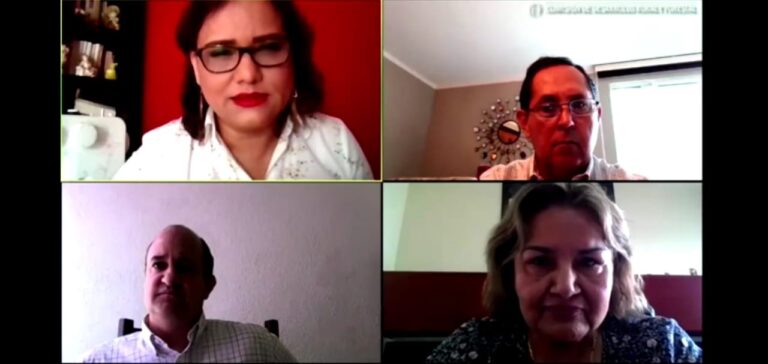 COMISIÓN DESARROLLO 05MAYO2021