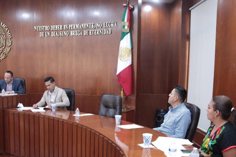 COMISIÓN DE SEGURIDAD 01JUNIO2021