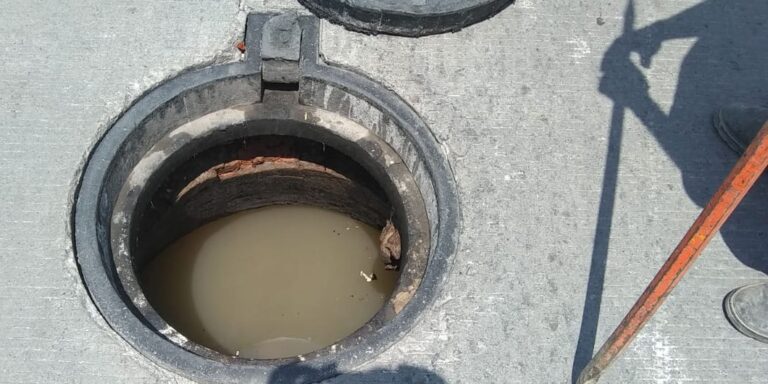 ECOLOGÍA MUNICIPAL 06JUNIO2021