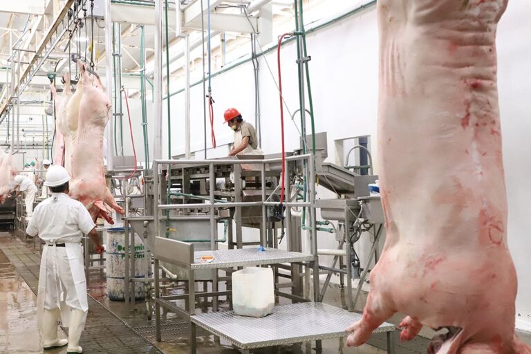 RASTRO PEÑASCO 1 (2)