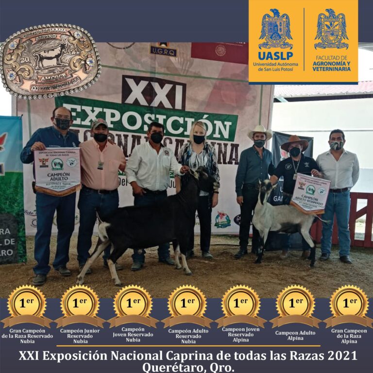 Agronomía 6 (2)