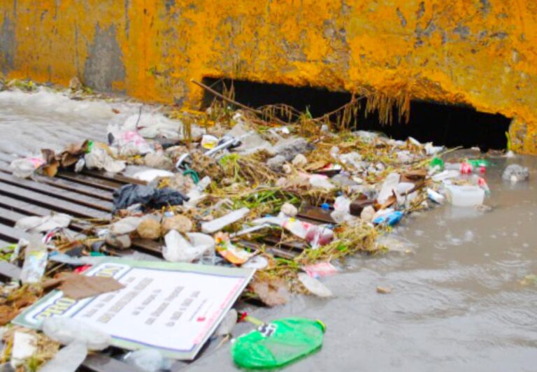 CUADRILLAS MUNICIPALES 16JULIO2021 (2)