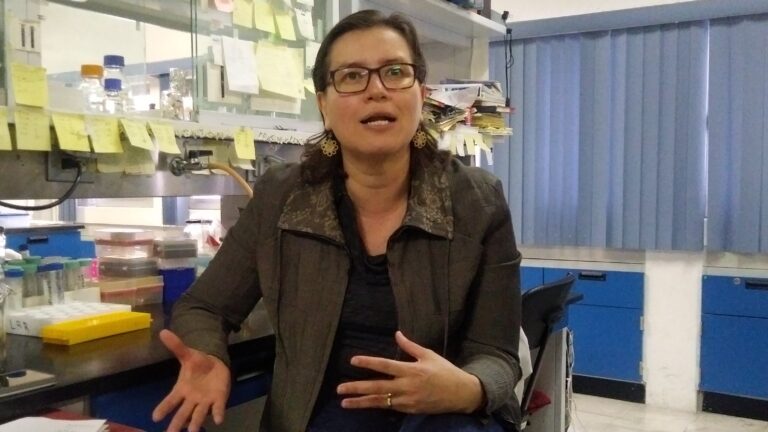 IPICYT LINA RIEGO 14JULIO2021 (2)