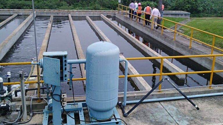 PLANTAS TRATADORAS 17JULIO2021 (2)